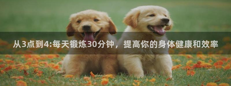 77体育官网