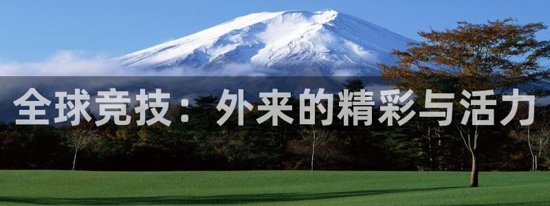 77体育