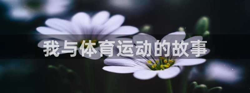 77体育app下载官网