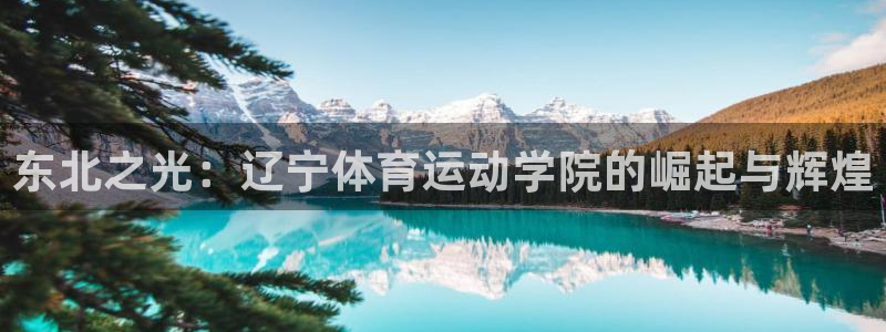 77体育