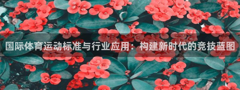 77体育app下载官网