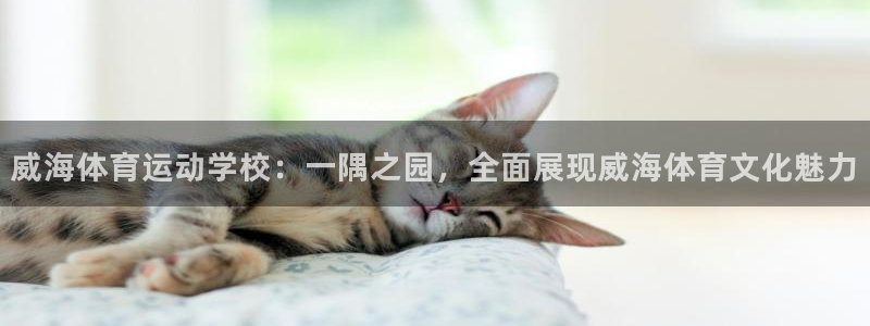 77体育app下载官网
