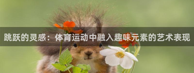 77体育